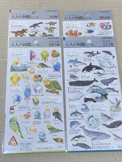 大人の図鑑シール 4枚 セット