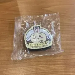 ちいかわ　うさぎ　マグネット