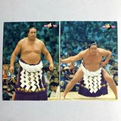 大相撲カード　北の富士セット