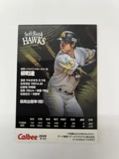 カルビー プロ野球チップス 柳町達 タイトルホルダー