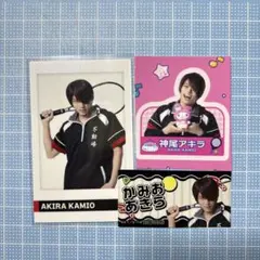 テニミュ ポラショ サンリオ 神尾アキラ