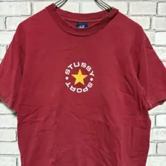 【希少】USA製 90s OLD Stussy プリントTee Mサイズ