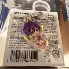 AGF先行販売 STPRfamilyランダムオーロラチャーム ななもりさん