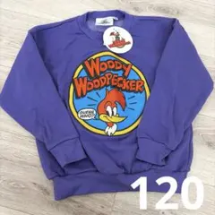 Item thumbnail for item 85e39228-d922-4572-bc2b-5a03707b41f4