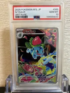ポケモン　カビゴン、フシギソウ　AR　PSA10 ポケモン カビゴン、フシギソウ AR PSA10-売れ筋ランキング