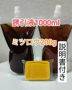 2026年最新】日本蜜蜂巣クズの人気アイテム - メルカリ