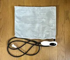 ペット用ホットカーペット ヒーター 小動物用 37×29cm