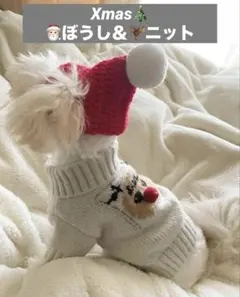 Item thumbnail for item f0165e12-4cad-4fcc-9662-72216ba1186b