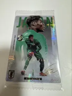 サッカー日本代表 鈴木彩艶 トレーディングカードのサムネイル