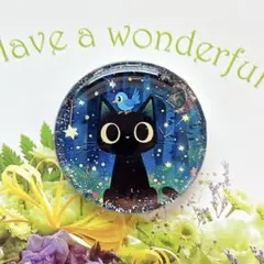カヤ ☪︎⋆☽様黒猫ちゃん レジンヘアゴム - メルカリ