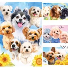 Item thumbnail for item 6697d422-e039-422e-bf13-72eef9859742