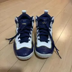 Mizuno Ronald バスケットシューズ ハイカットのサムネイル