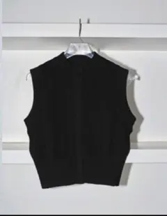 2026年最新】Vneck nylon vest todayfulの人気アイテム - メルカリ