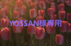 Item thumbnail for item d4506010-91a3-4444-a9f4-f6ba8df280f5