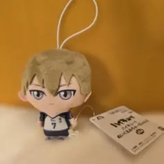 新品未使用！ハイキュー!! ぬいぐるみちゃーむvol.2 木葉秋紀 マスコット