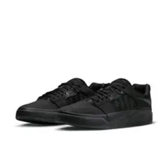 ★一回着用大放出NikeSB IshodWairPremium ブラック28cm