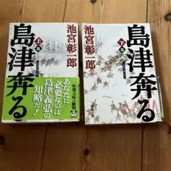 島津奔る 上巻