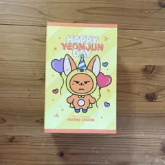 ヨンジュン センイルグッズ TXT ヨンジュン センイル ファンチュン 誕生日 ぬいぐるみ - メルカリ