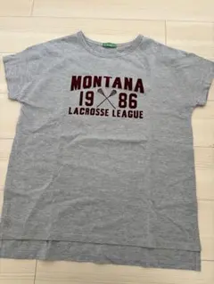 earth music&ecology Tシャツ グレー 半袖 フリーサイズ