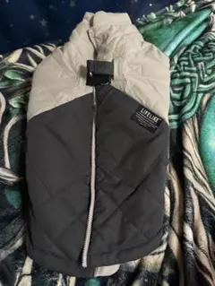 Item thumbnail for item 46fddc50-5b6e-445d-b560-1e14f5f6f091