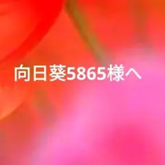 向日葵5865様 リクエスト 2点 まとめ商品