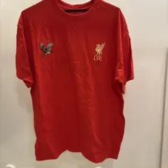 Item thumbnail for item cb8382f8-1866-4e10-9f9d-7de4ccad2cb6