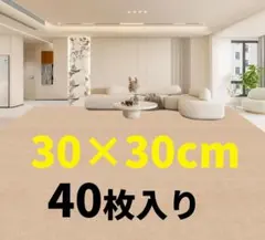 Item thumbnail for item 42340be6-3322-4483-b175-4acf02425498