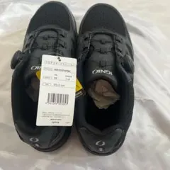 Item thumbnail for item 301f644b-48de-45f6-aaea-830af2e3fa97