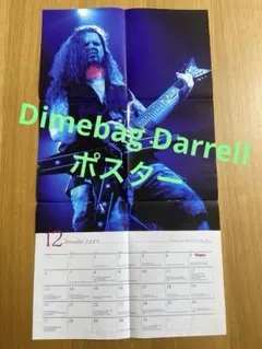 2026年最新】PANTERA Dimebag Darrellの人気アイテム - メルカリ