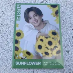 ★ 最安値！即購入⭕️ SUNFLOWER 八木勇征フォトカ シークレット ！のサムネイル