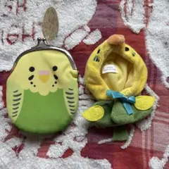 セキセイインコ　他の方は購入をお控え下さい