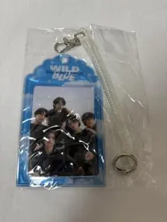 2025年最新】Wild blue グッズの人気アイテム - メルカリ