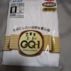 GUNZE GQ-1 Mサイズ 前あきズボン下