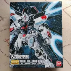 2026年最新】MG ストライクフリーダム 大河原邦男の人気アイテム