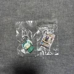 アイカツ　めじるしアクセサリー　藤堂ユリカ セット