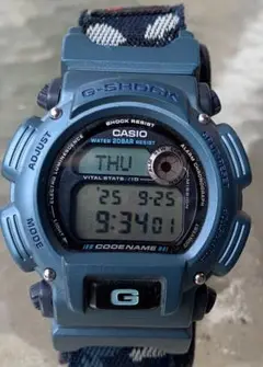 CASIO G-SHOCK DW-8800 マサイサラ　ゾウ