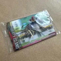 2026年最新】リバティアイランド サインの人気アイテム - メルカリ