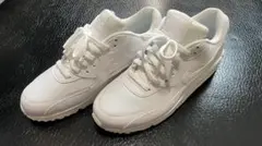 NIKE / AIR MAX 90 ESSENTIAL【28cm】