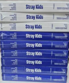 【新品未開封】 Stray Kids KARMA 通常盤 9枚セット スキズ