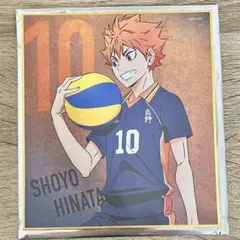 ハイキュー ゴミ捨て場の決戦展 ミニ色紙 日向翔陽