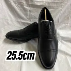 テクシーリュクス 25