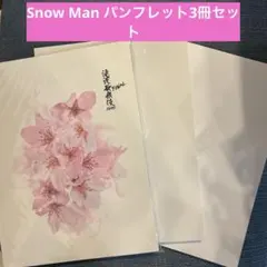 SnowMan LABO iDOME 滝沢歌舞伎FINALパンフレットセット