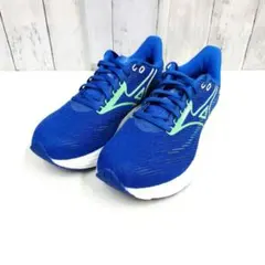 ミズノ WAVE RIDER 29 ランニングシューズ 26cm