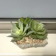 新品　多肉植物3種類　シェル型器　アーティフィシャルフラワー　造花
