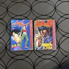 激レア】【全巻】令嬢レスラー 全2巻初版 中野喜雄 真樹日佐夫 女子