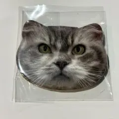 猫カフェmocha大宮アルシェ店 缶バッジ ヤマト