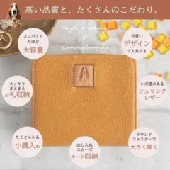 ハッシュパピー アテッサ キャメル Hush Puppies 二つ折り財布のサムネイル