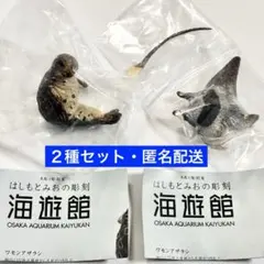 AIP はしもとみおの彫刻 海遊館　ワモンアザラシ　イトマキエイ　２種セット