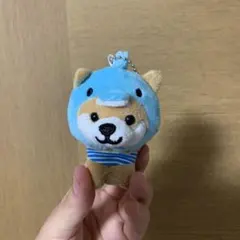 【はるちゃん様専用ページ】柴犬 ぬいぐるみ キーチェーン付き旅するマメしば