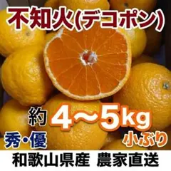 【秀・優】和歌山県産 不知火(デコポン) 約4～5kg 農家直送！まとめ買い◎